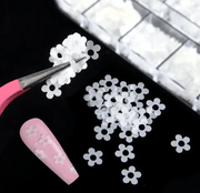 Box multi Shape White Decals - NSI NZ Ltd