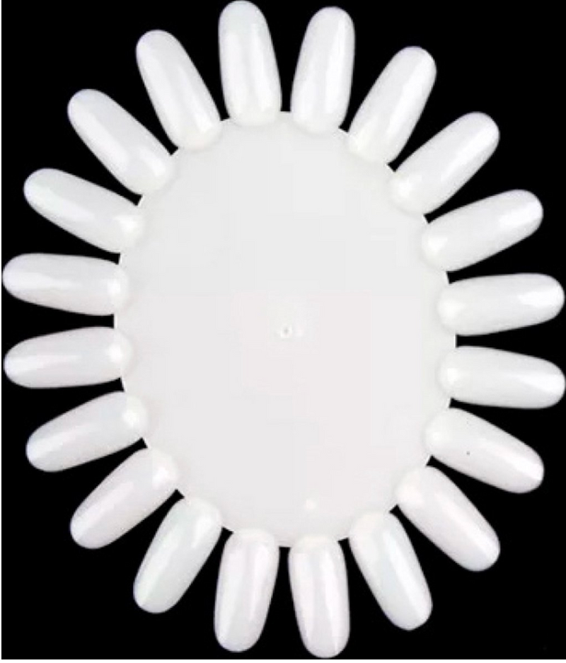 Colour Wheel Display Natural