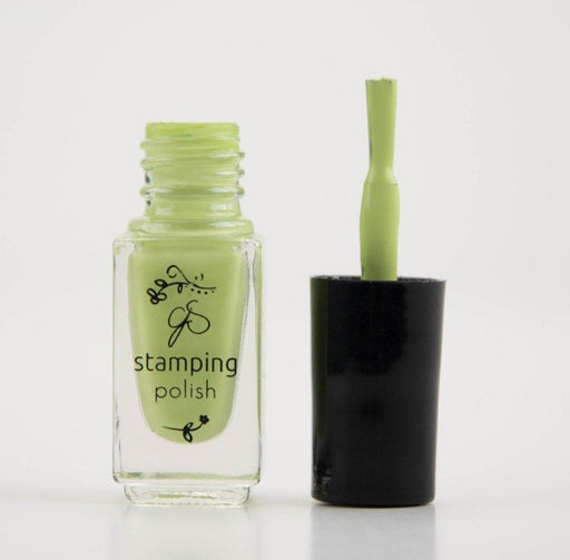 64 New Bud Nail Stamping Polish (REDUCED TO CLEAR) - NSI NZ Ltd