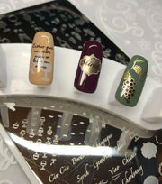 A Friend With Wine CjSLC20 *CLEARANCE* - NSI NZ Ltd