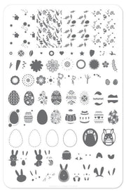 Bunny kinz CjSH11 *CLEARANCE* - NSI NZ Ltd