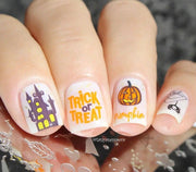 CjS XL Four *CLEARANCE* - NSI NZ Ltd