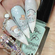 Do You Want to Build a Snowman CjSC40 - NSI NZ Ltd