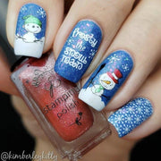 Do You Want to Build a Snowman CjSC40 - NSI NZ Ltd