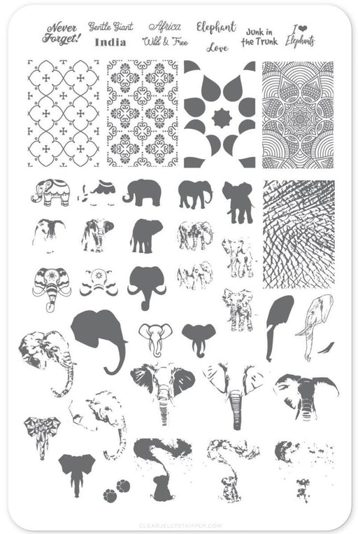 Everything Elephant CjSLC44 *CLEARANCE* - NSI NZ Ltd