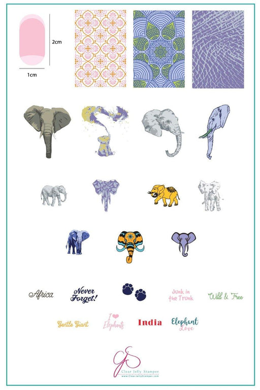 Everything Elephant CjSLC44 *CLEARANCE* - NSI NZ Ltd