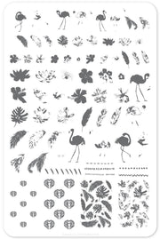 Fabulous Flamingo CJS57 *CLEARANCE* - NSI NZ Ltd