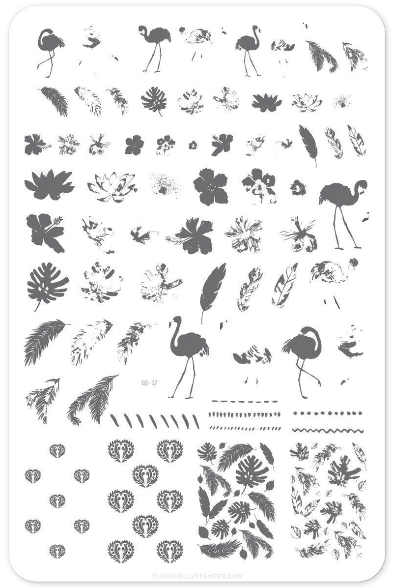 Fabulous Flamingo CJS57 *CLEARANCE* - NSI NZ Ltd