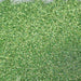 Green Holographic Glitter - NSI NZ Ltd