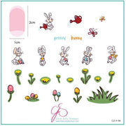 Groovy Bunny CjSH66 *CLEARANCE* - NSI NZ Ltd