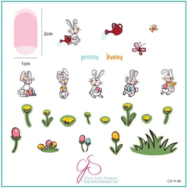Groovy Bunny CjSH66 *CLEARANCE* - NSI NZ Ltd