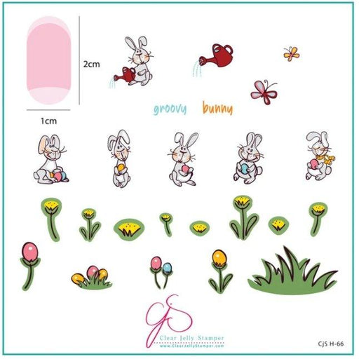 Groovy Bunny CjSH66 *CLEARANCE* - NSI NZ Ltd
