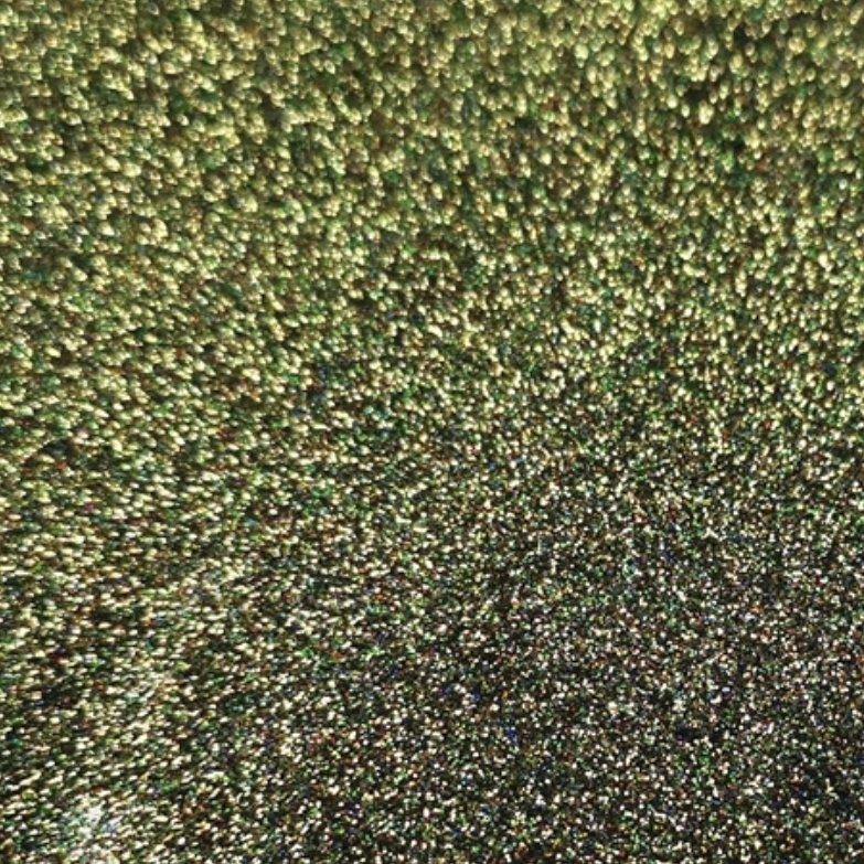Olive Holographic Glitter - NSI NZ Ltd