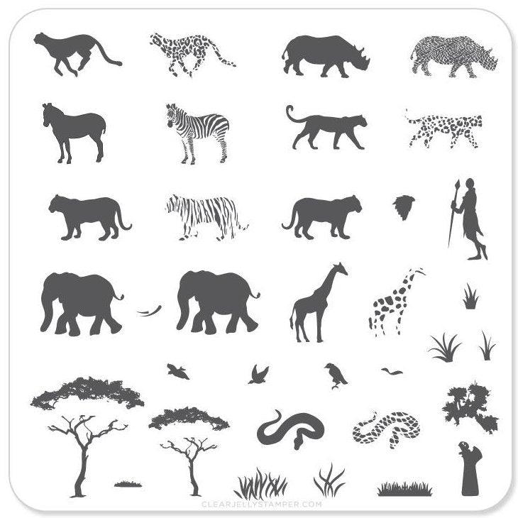 Out of Africa CjS15 - NSI NZ Ltd