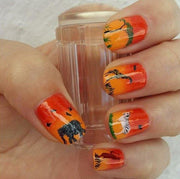 Out of Africa CjS15 - NSI NZ Ltd