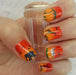 Out of Africa CjS15 - NSI NZ Ltd