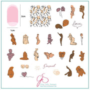 Sensual CjS204 *CLEARANCE* - NSI NZ Ltd