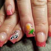 Summer Fun CjS16 - NSI NZ Ltd