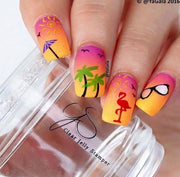 Summer Fun CjS16 - NSI NZ Ltd