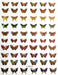 ZD3717 Butterfly Stickers - NSI NZ Ltd